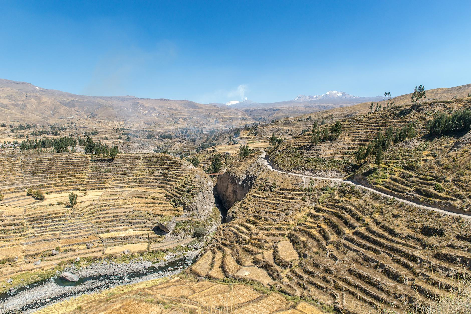 Tarasowe pola uprawne w górach Peru w słoneczny dzień