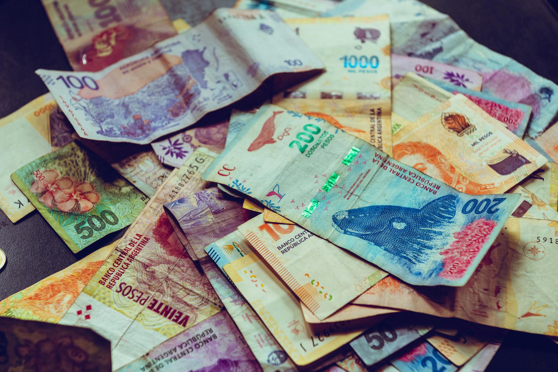 Kolorowe banknoty peso argentyńskiego z motywami dzikich zwierząt