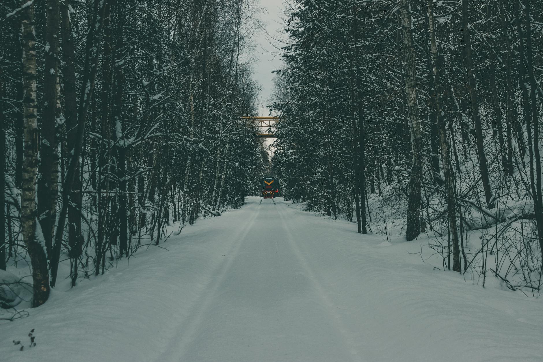 Pociąg jedzie po ośnieżonych torach przez zimowy las w Rosji